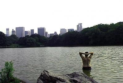 A Summer in the Cage