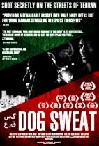 Dog Sweat