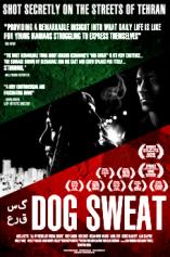 Dog Sweat
