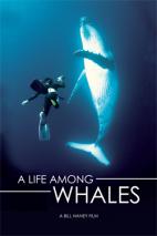 A Life Among Whales