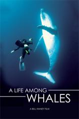 A Life Among Whales