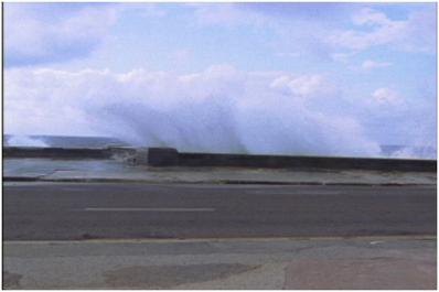 Portraits on the Malecon